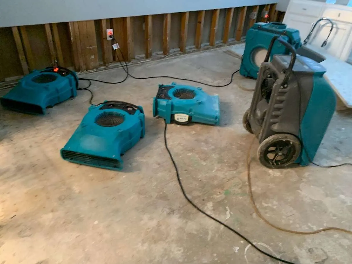Odor Removal & Deodorization in Anderson, SC